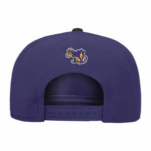 BCS-20250701-C13502B-C004870WILC-52M